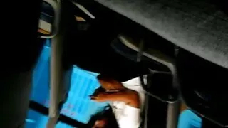 Latina suryja visas savo skyles su daug juoda gaidžiai